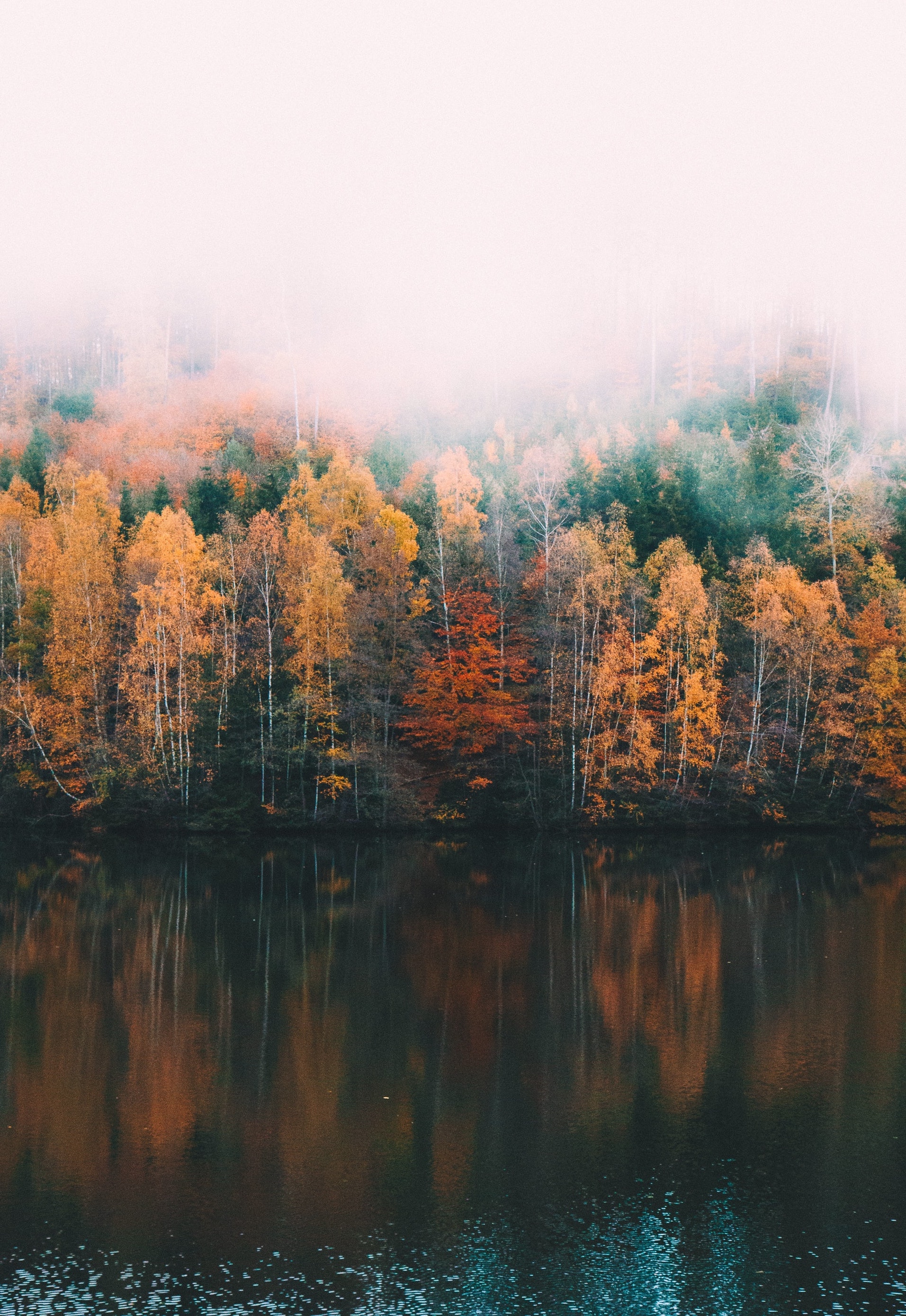 antonio-grosz-EsuRXeY9Wno-unsplash_1